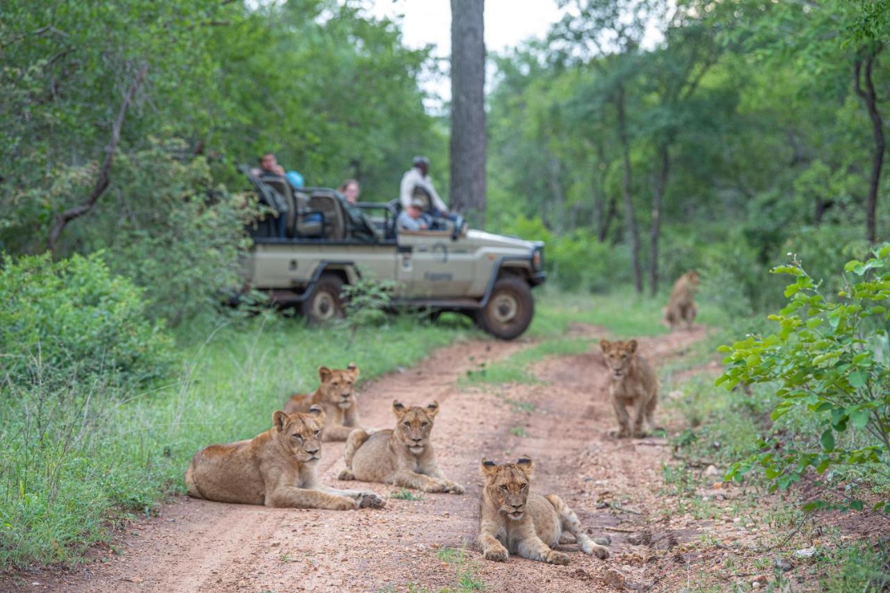 הוילה Kapama Game Reserve Kapama Karula מראה חיצוני תמונה