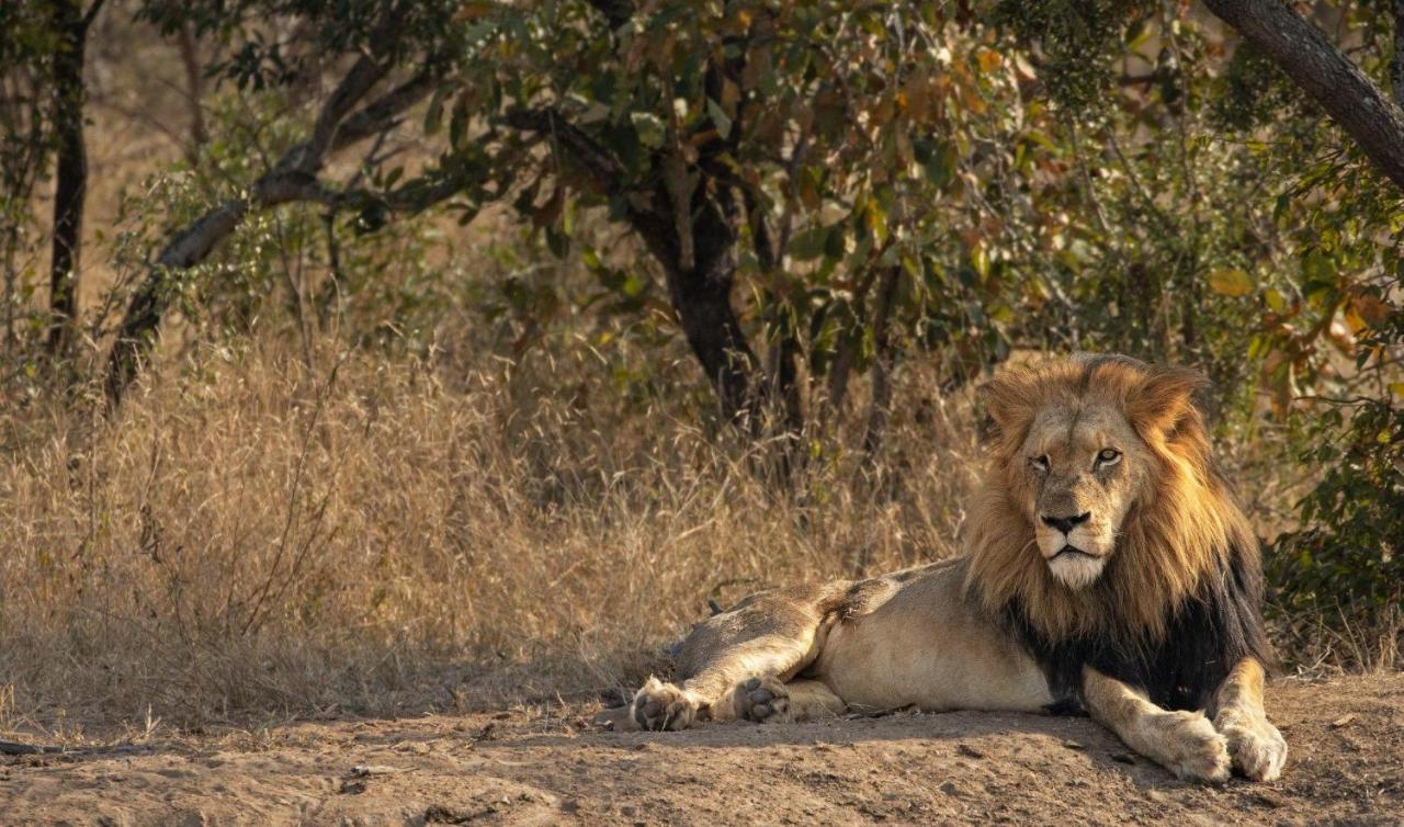 הוילה Kapama Game Reserve Kapama Karula מראה חיצוני תמונה