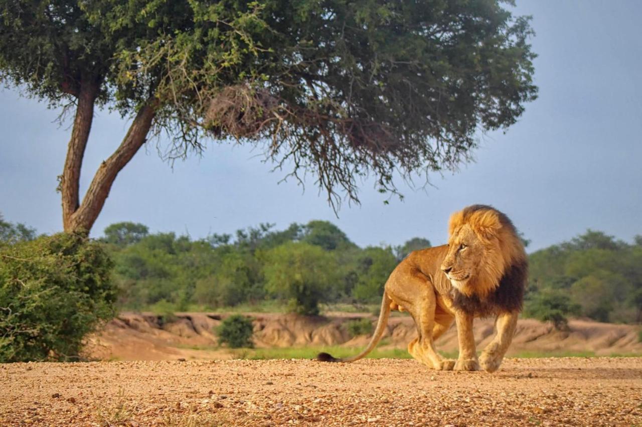 הוילה Kapama Game Reserve Kapama Karula מראה חיצוני תמונה